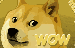 After GameStop, Dogecoin’s 800% rise in a day shows how memes can move markets