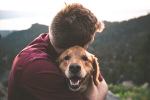 Unleash Your Passion: 4 Awesome Careers for Animal Lovers
