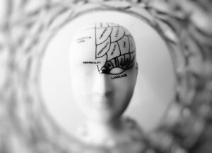 How Daily Habits Can Rewire the Brain to Bad Habits