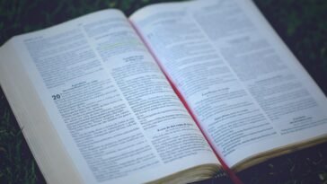 Semantic Error Chapter 80