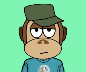 Navigating the NFT Minefield: Should You Hold or Fold on Your Digital Assets?