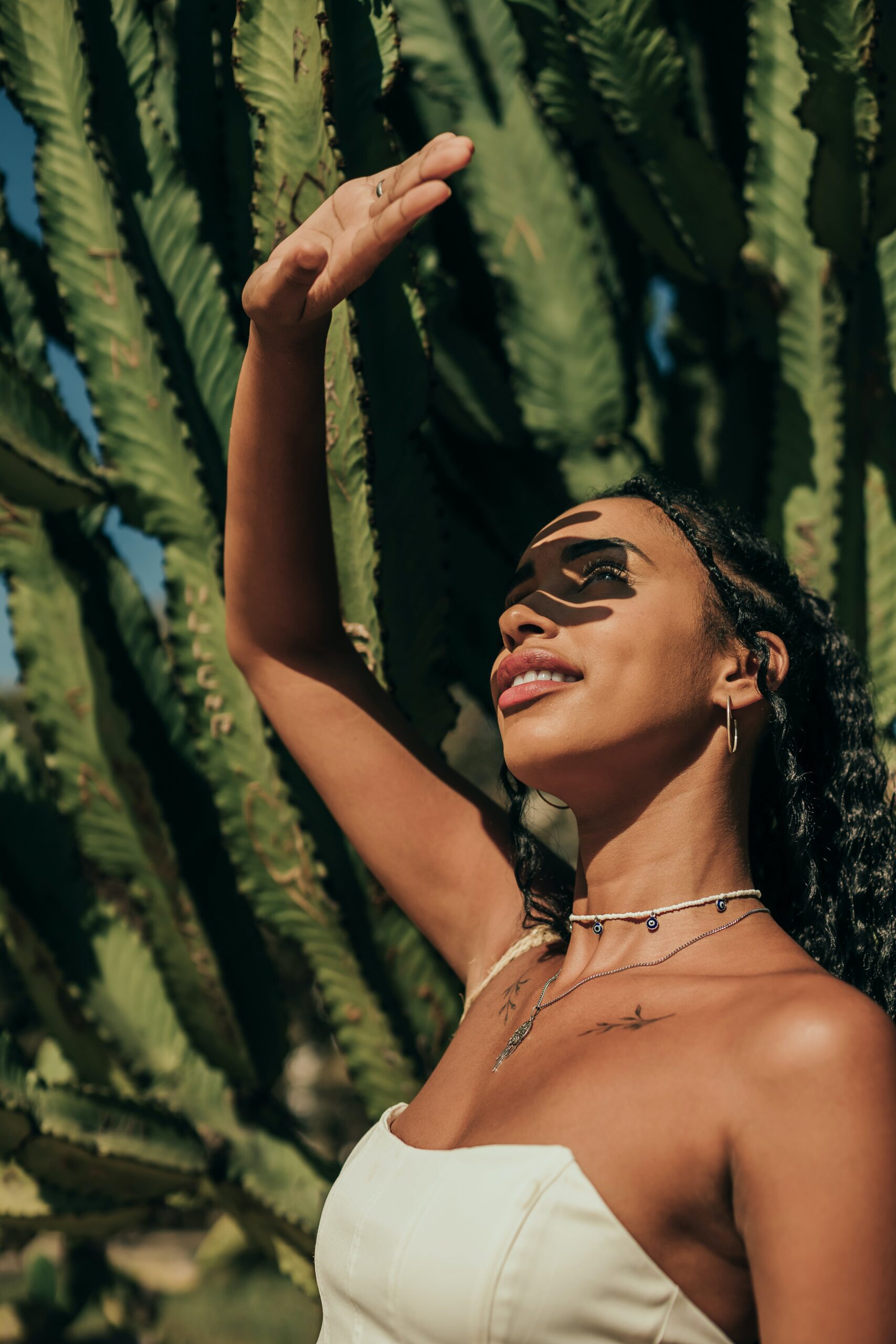 pexels stephany lorena