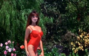 Nicolette Scorsese: The Actress with Timeless Charm