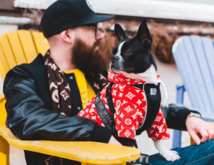 Thinking of Career as an Influencer, What’s The Experts Say on The Future