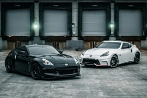 Customer Experience and Satisfaction in Car Shipping