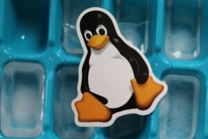 Is Linux on Life Support in 2024? Not Quite, But It’s Still Battling for Dominance