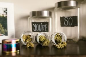 Exploring the Kush Hemp, And The Mysteries