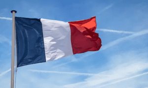 French Election: Far-proper National Rally Leads in Early Results 