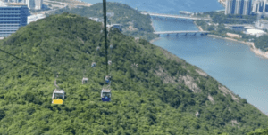 Lantau Island Escape: Finding Serenity Amongst the Giants (Day 6 & 7)
