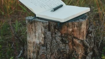 Unseen Poem in Hindi with Questions and Answers