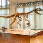 dinosaur skeleton auction