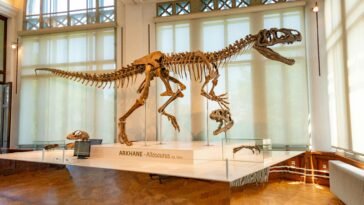 dinosaur skeleton auction