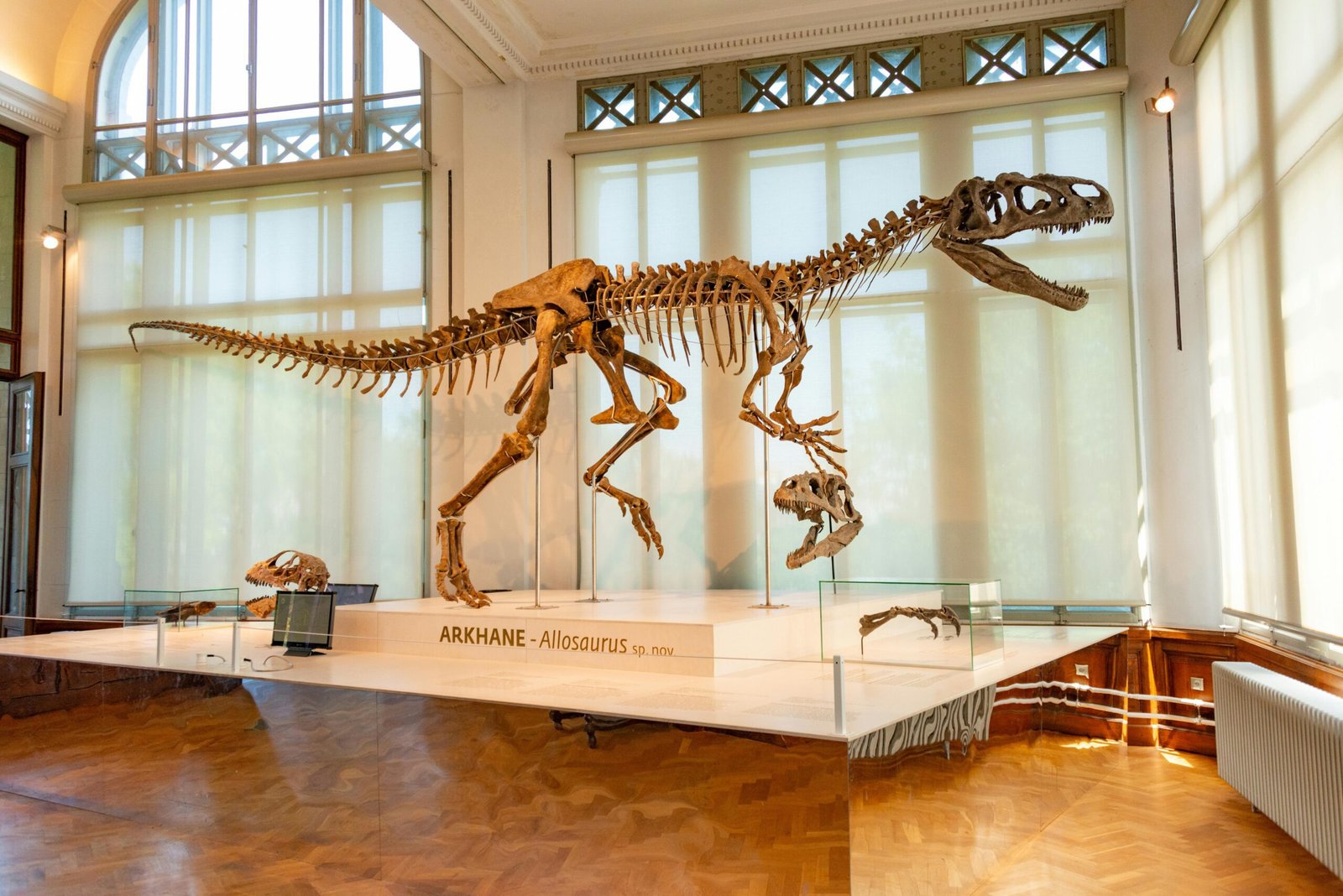 dinosaur skeleton auction