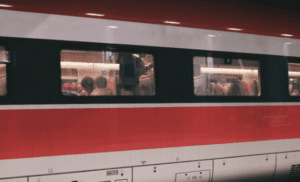 Tortoise Causes Train Delays After Climbing onto Tracks Between Ascot and Bagshot
