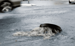 Big Problems with Sewage: Four Water Companies Cause Most Pollution