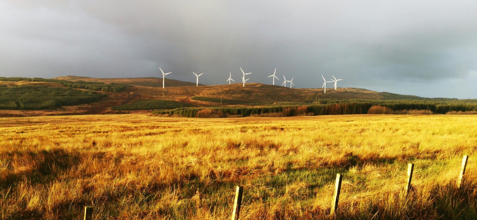 Scotland FDI surges