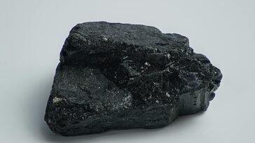 pet rock fossil