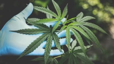European cannabis IPO