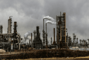 Stop Chopping, Start Caring: Green Groups Say No to Drax’s Wood-Burning Subsidies