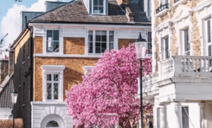 Navigating Your Mortgage Options After the Interest Rate Cut