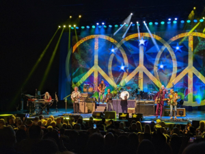 Ringo Starr, 84, Cancels Tour Due to Illness but Remains Positive for Fans