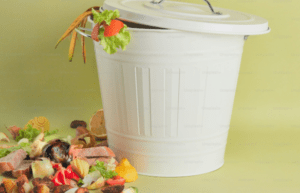 Waste Not, Want Not: UK Companies Call for Food Waste Reporting