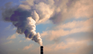 The Week-Long Wonder House: Save Big on Bills with Zero Carbon!