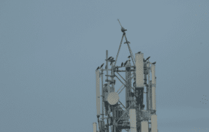 Telecommunications Company’s Big Move: 1,500 Staff Heading Downtown for a Greener Future!
