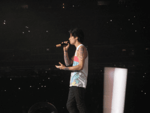 Zayn Malik Postpones Tour after Liam Payne Dies