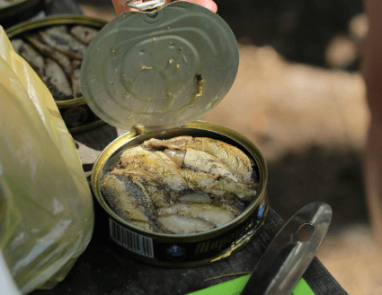 Toxic Tuna Alert: The Hidden Danger Lurking in Your Favorite Canned Fish 1 image