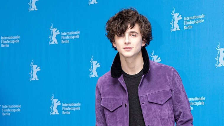 MJK Timothée Chalamet (Call Me by Your Name, Berlinale )