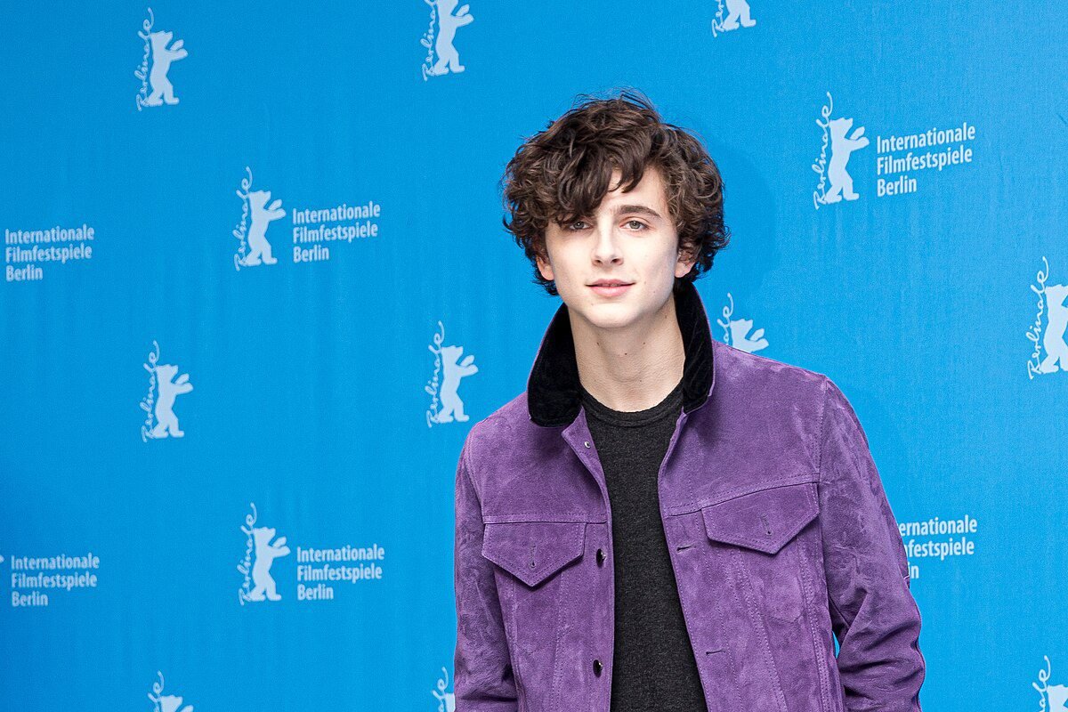 MJK Timothée Chalamet (Call Me by Your Name, Berlinale )