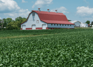 Big Farms Get Rich, Small Farms Struggle: The Surprising Truth Behind Europe’s Farming Wealth Gap