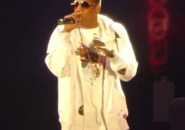 Jay Z concert (cropped) ()