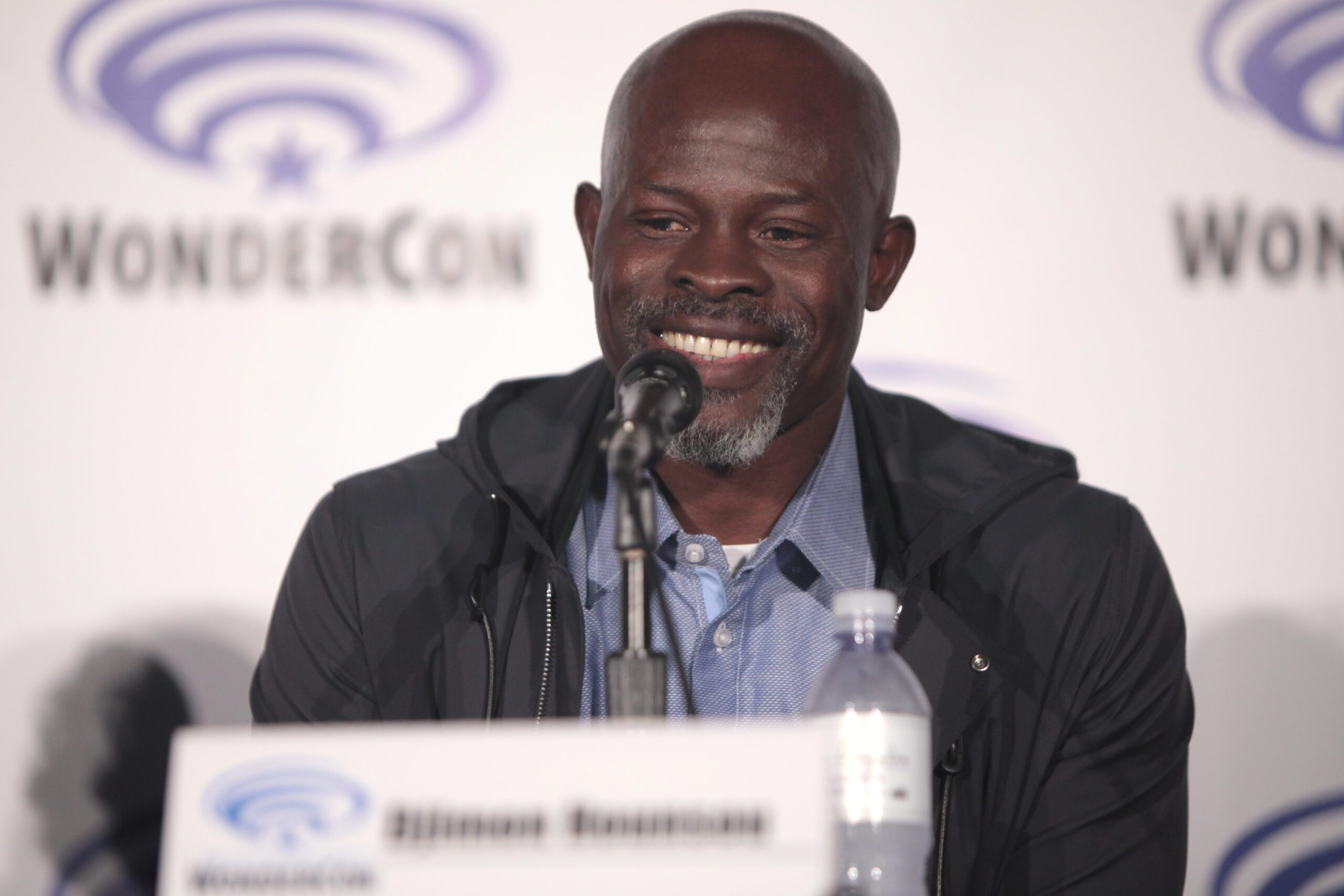Djimon Hounsou ()