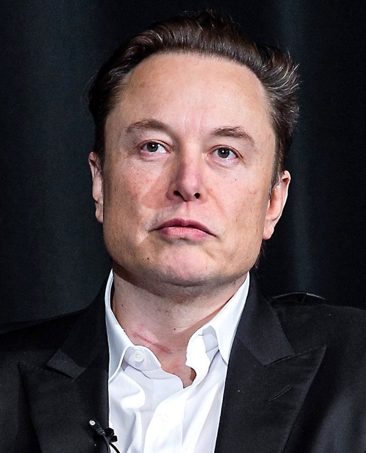 Elon Musk Colorado (cropped) ()