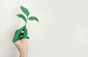How Rehab Programs Are Changing to Better Support Seniors
