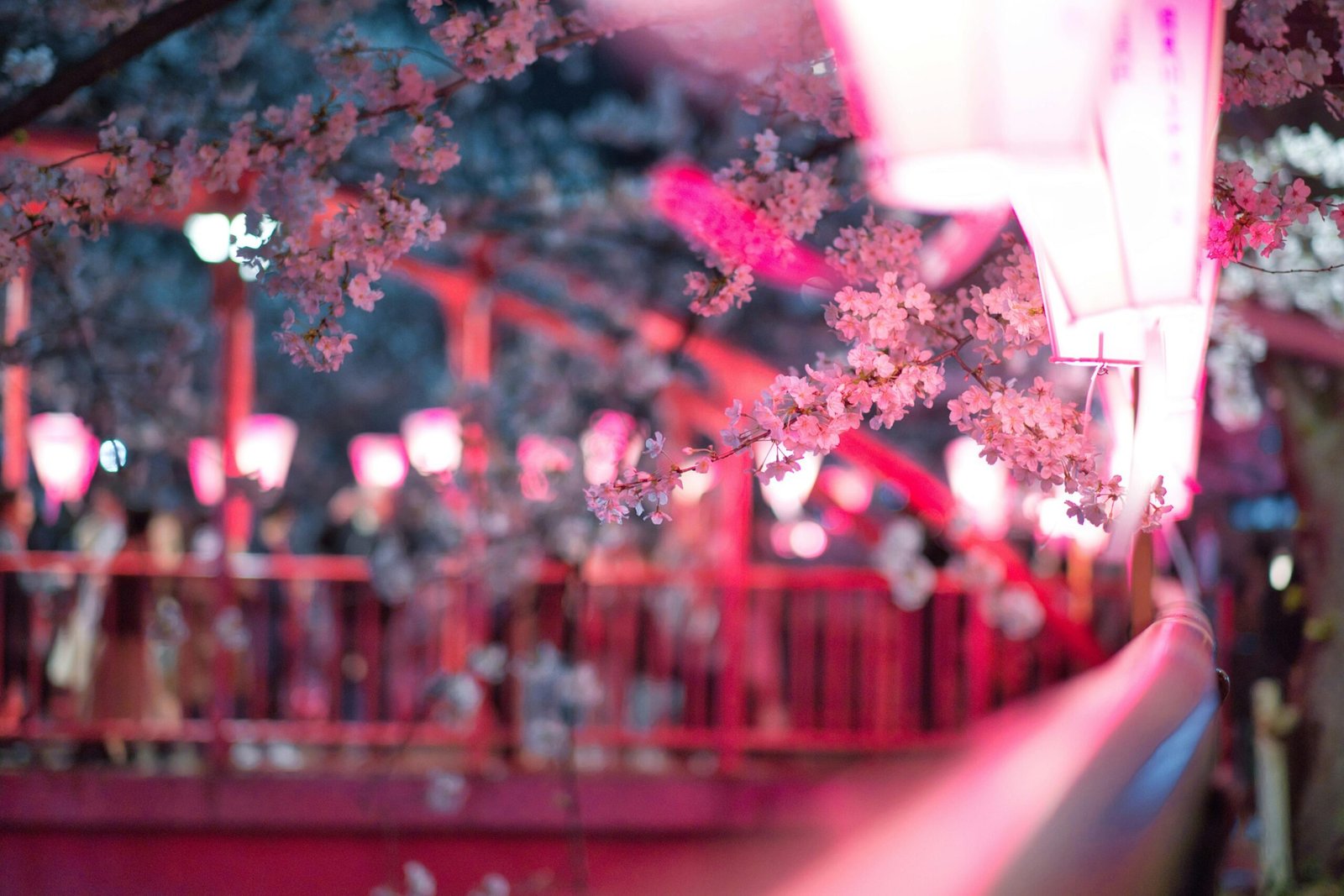 pexels evgeny tchebotarev